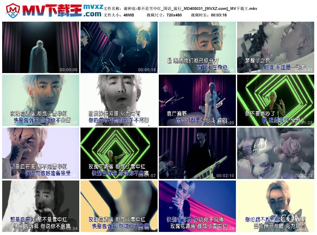 谢和弦-那不是雪中红_国语_流行_MD405031